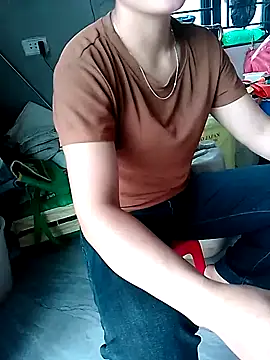 maimai1100 webcam