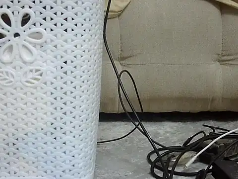 Pettite_essy webcam