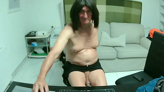 TranseCarmen webcam