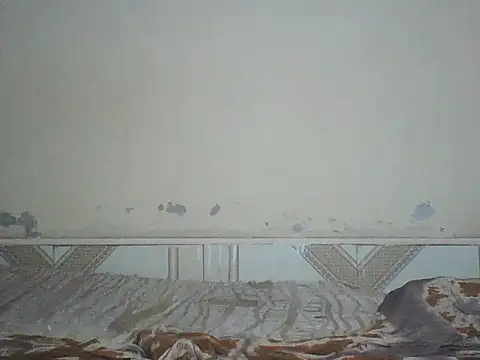 Naivegirrl webcam