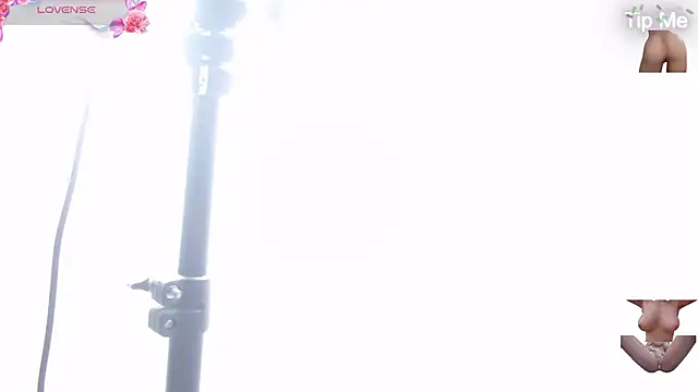 Dakotagloss webcam