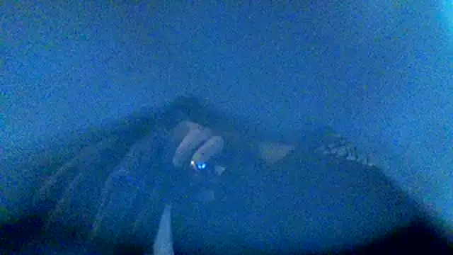 ryan100craige webcam