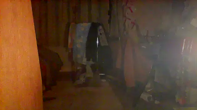 nice6incs webcam