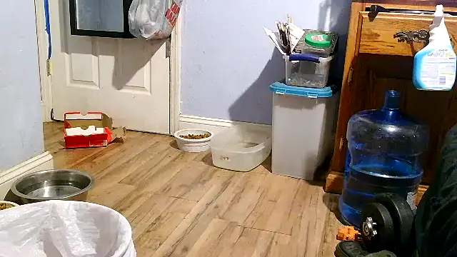 PornStro921 webcam