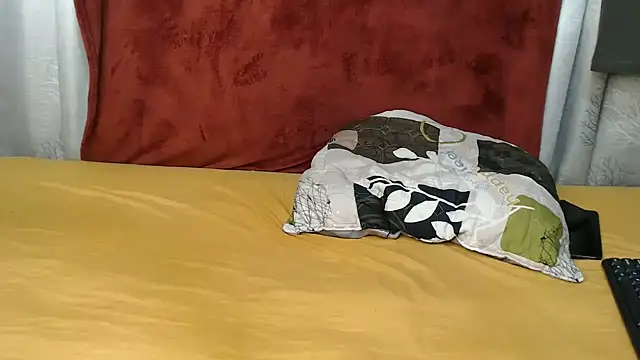 WEPUSSY23XX webcam