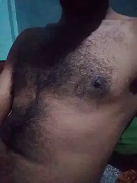 desibullboybd webcam