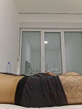 FrameBoy webcam