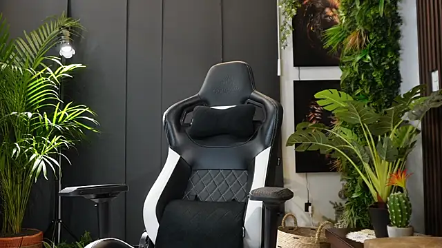 DanteSantoss webcam