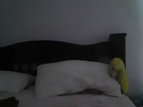 sexycock-hard webcam
