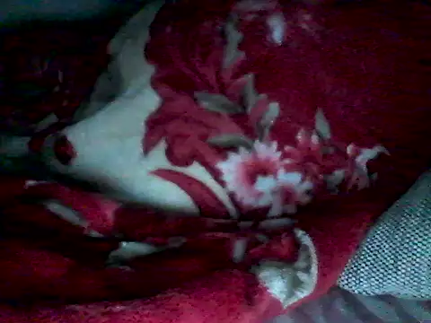 lickthehottie webcam