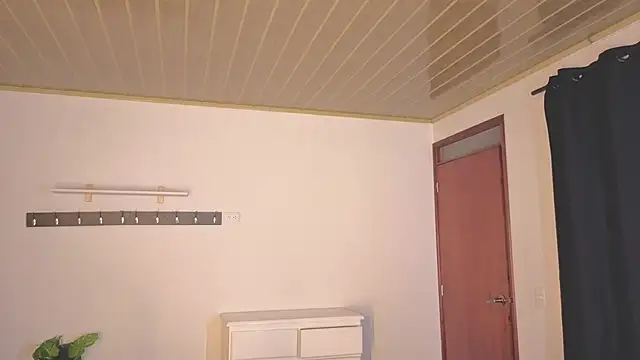 Renaxi_Smith webcam