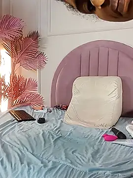 Nalapalmer webcam