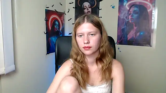 StellaCRL webcam