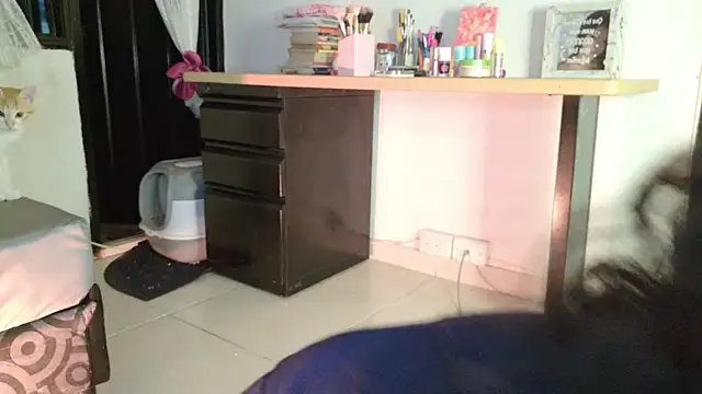 eva_sin18 webcam