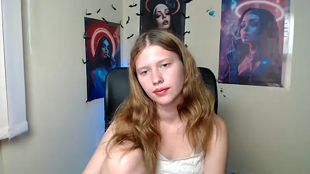 StellaCRL webcam