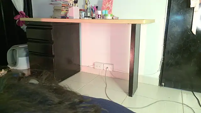 eva_sin18 webcam
