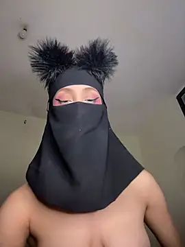 arabayla webcam