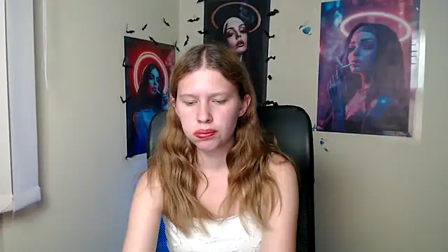 StellaCRL webcam