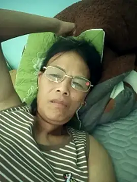 toyo_668 webcam