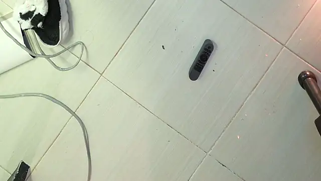 eva_sin18 webcam
