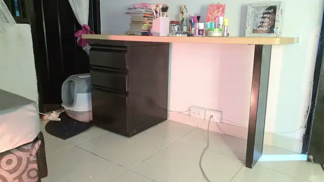 eva_sin18 webcam