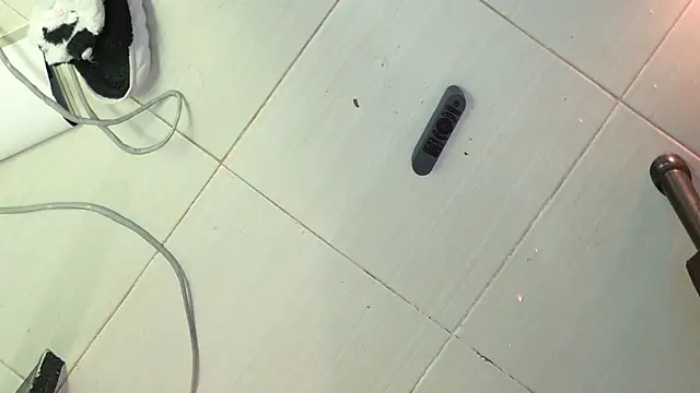 eva_sin18 webcam