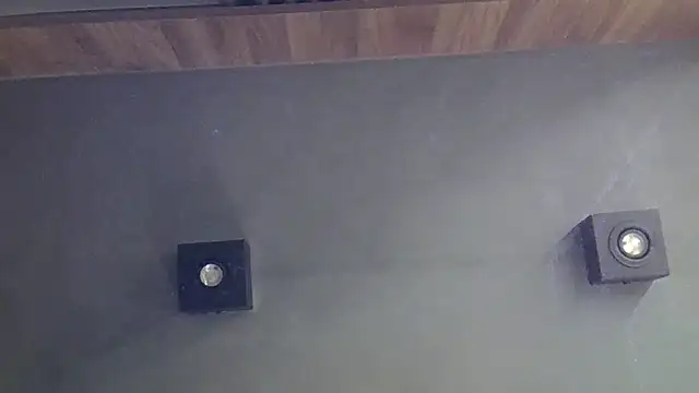 SkinnyKitten webcam