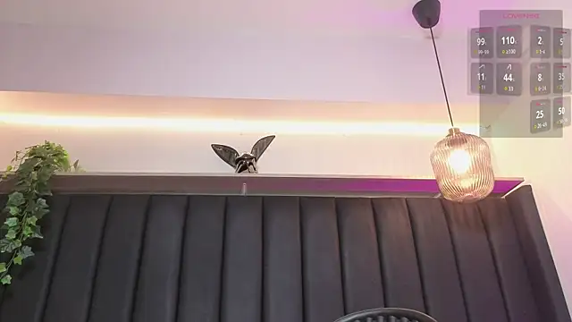 Isa_dumont webcam