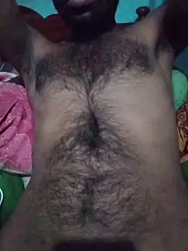 desibullboybd live cam on StripChat