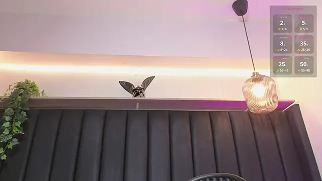 Isa_dumont webcam