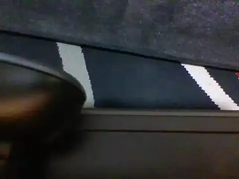 Wetpussy303 webcam
