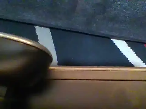 Wetpussy303 webcam