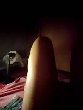 -Tara-a webcam