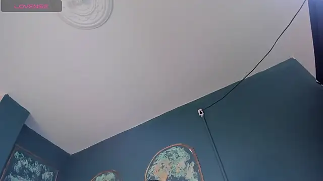 SofiaRousel webcam