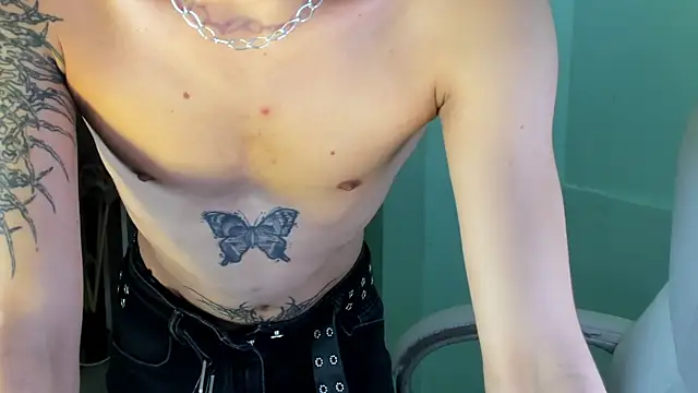 AndyWiilliams webcam