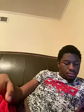ThickDic28 webcam