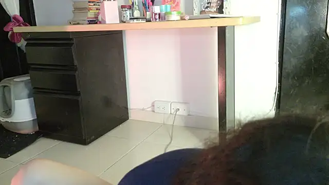 eva_sin18 webcam