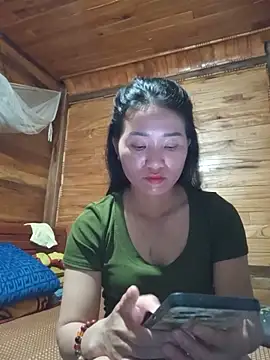 Td3di webcam