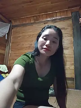 Td3di webcam