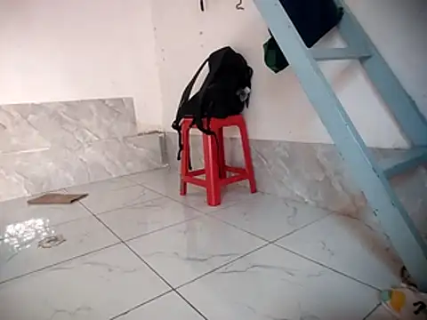 Palatable69-VN live cam on StripChat
