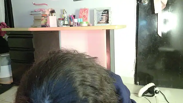 eva_sin18 webcam