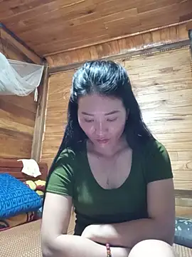 Td3di webcam