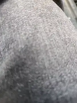 Hgay6935 webcam
