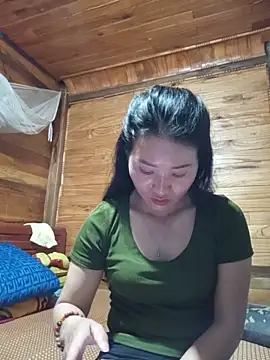 Td3di webcam