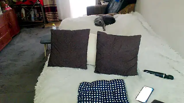 sex2 webcam
