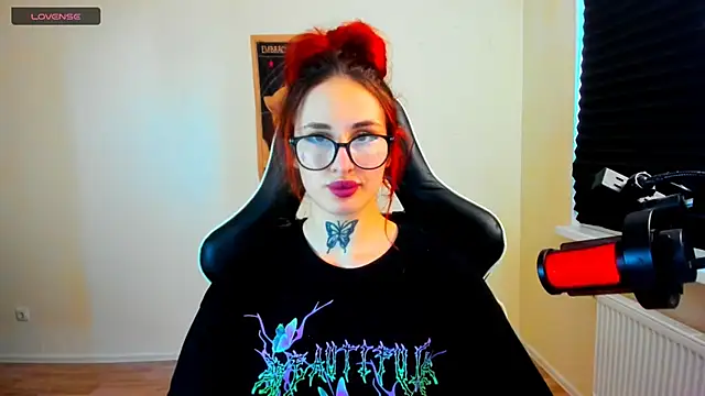 your_tora webcam