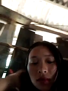 Liss-mimi webcam