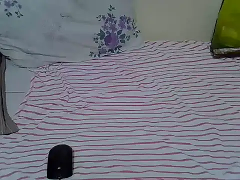 Twerliee webcam