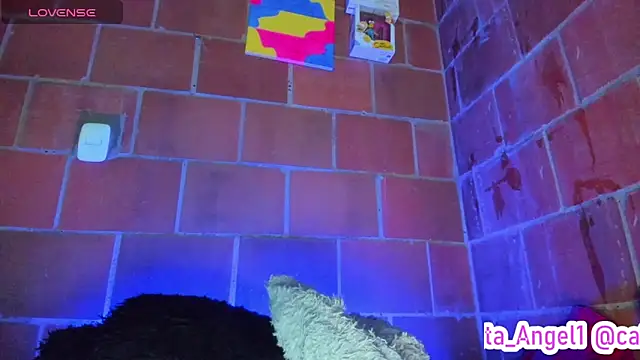 Cata-angel webcam