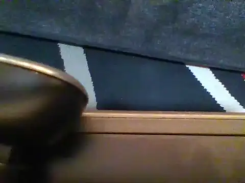 Wetpussy303 webcam